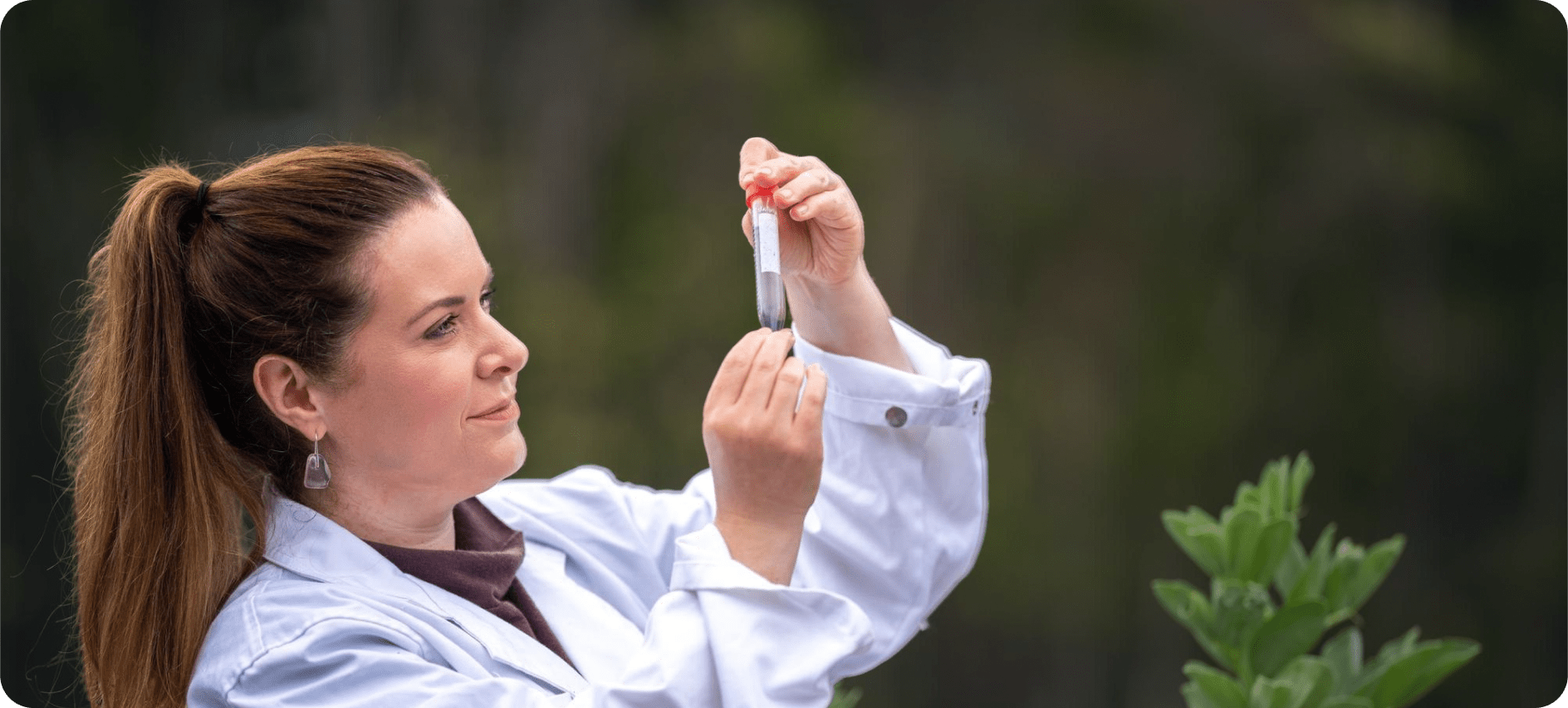 Wellness Through Science